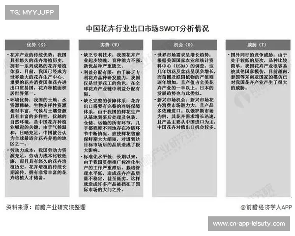 足球俱乐部转会利润分析如何影响市场格局与未来发展趋势 足球俱乐部转会利润分析如何影响市场格局与未来发展趋势